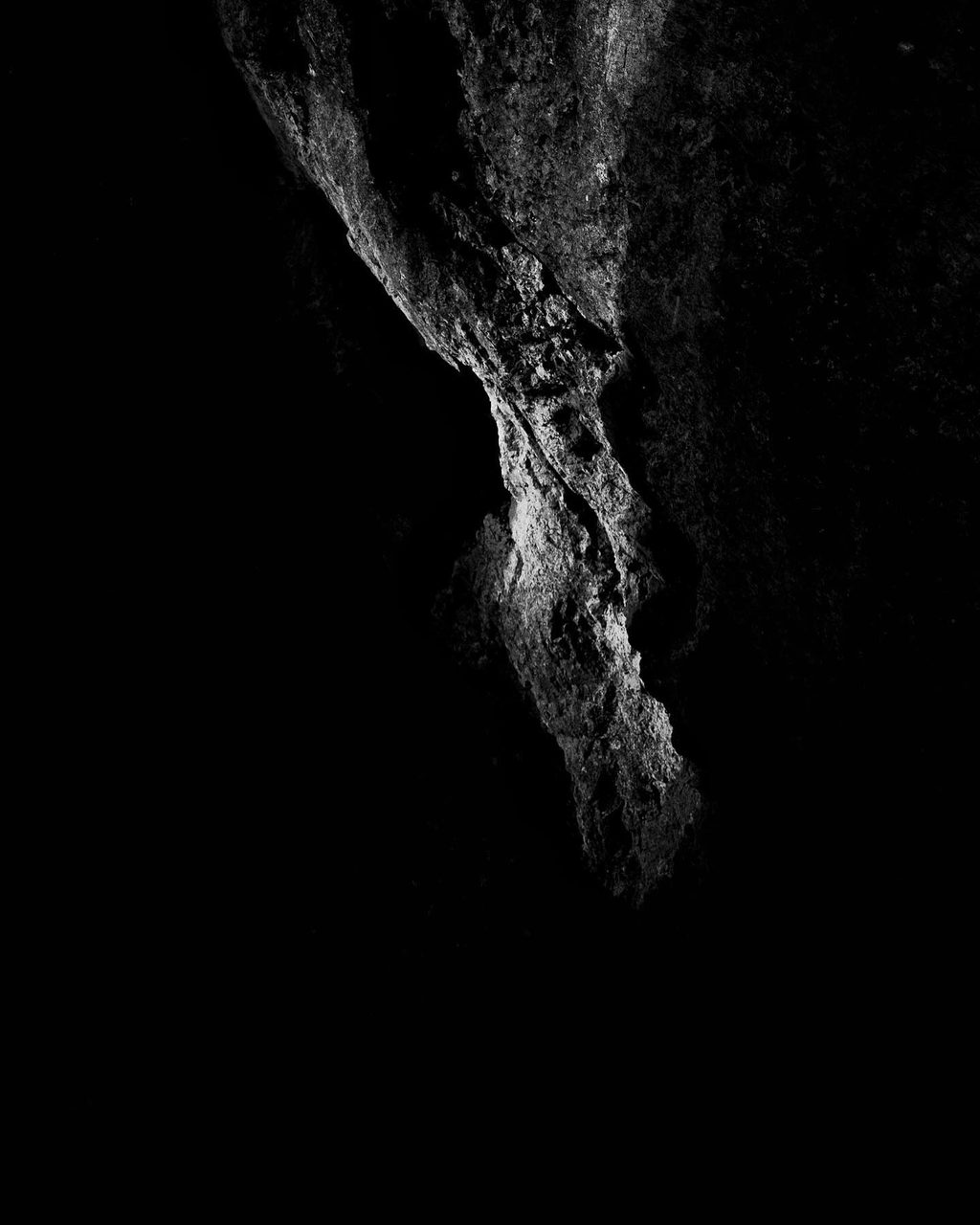 Fine art — skala v temini